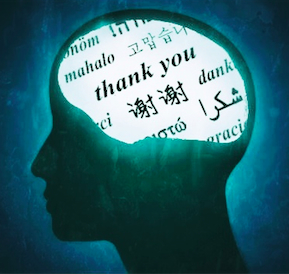 Cerebro multilingüe